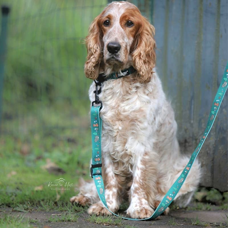 Trail Buddy Leash - Little Adventurer